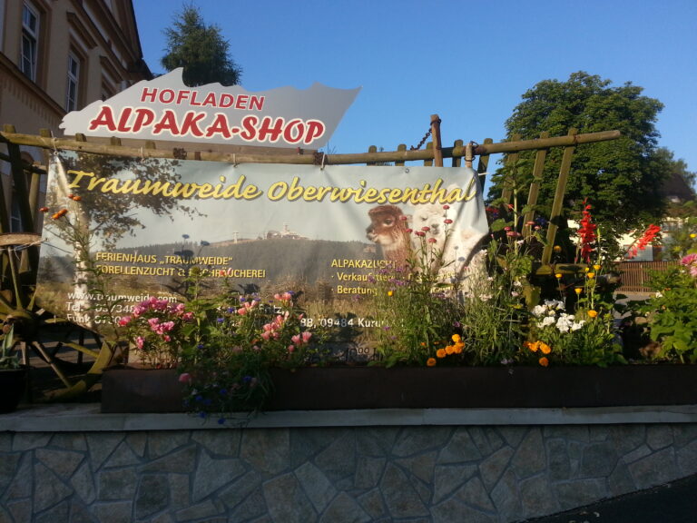 21.8.2013 021 768x576