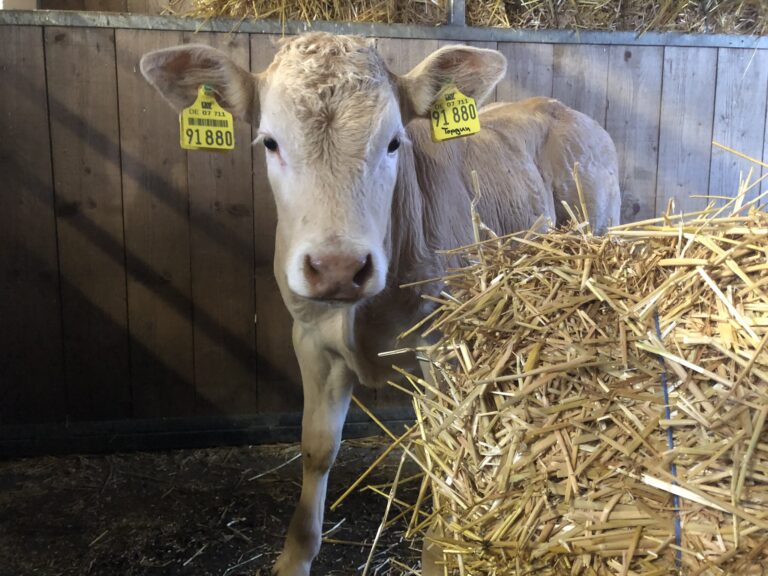 4B029587 BB87 40AF A498 6F30D27CD463 768x576