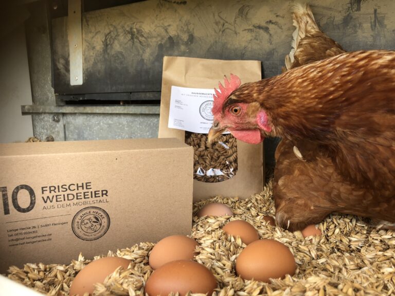 76AB2FF8 B651 440F 8390 96BF97CC7000 768x576