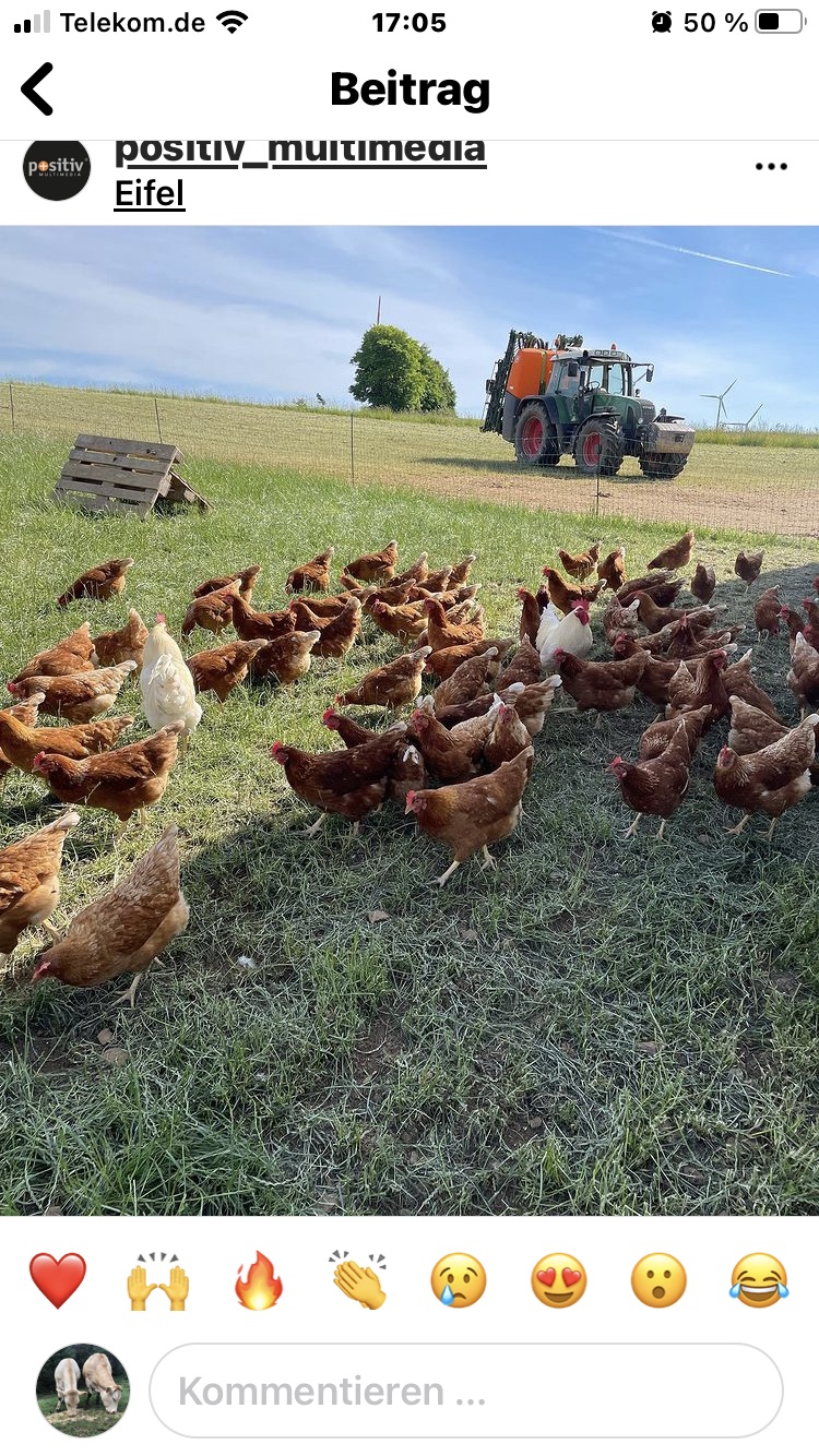 8560F36C 2C5F 4DF3 AC7F 05A627613833