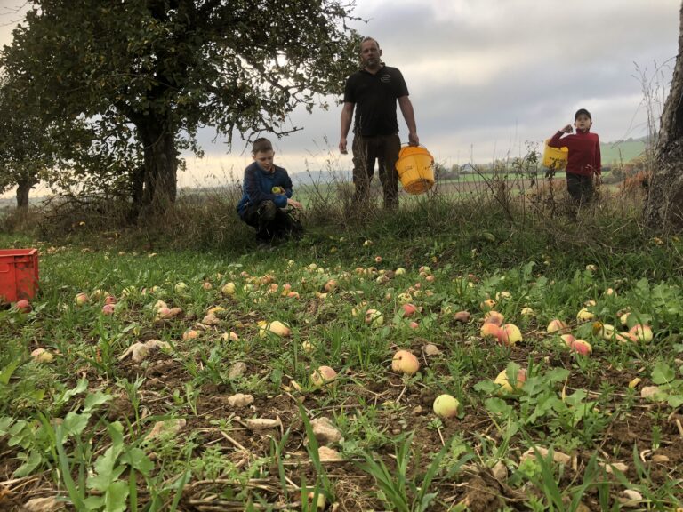 C441EEFA 5CA9 429C BECF 0B43DBFC5B6D 768x576