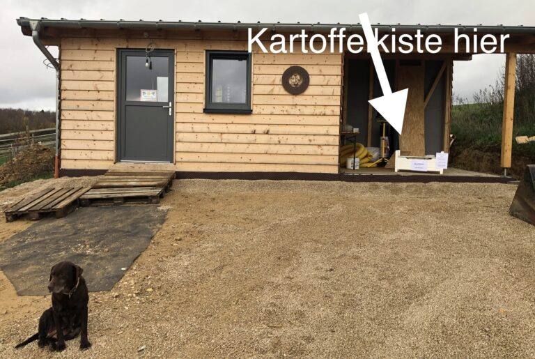 C7A34956 7B1C 42CD B2A6 7E8376940E2F 768x515