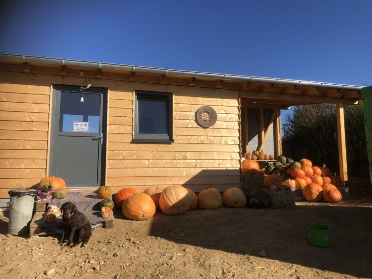 FDB3F773 9BEB 49DD 87B9 E64AAB1AED9C 768x576