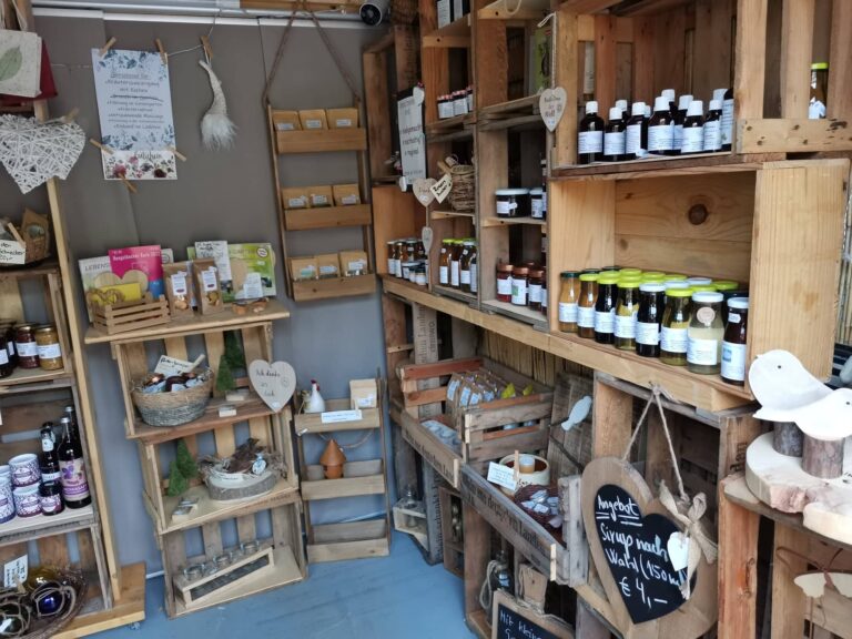 302158645 804086121003468 8125848350360712776 n 768x576