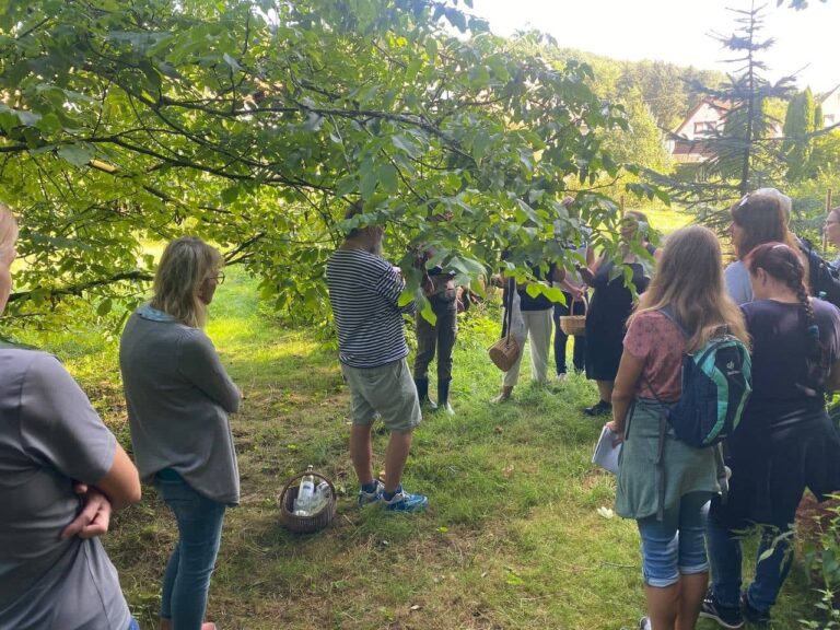 305795933 608055857541391 9067752525730003346 n 768x576