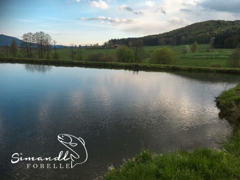 F1115F97 2780 4CC9 B598 6024C8D0E952 768x576