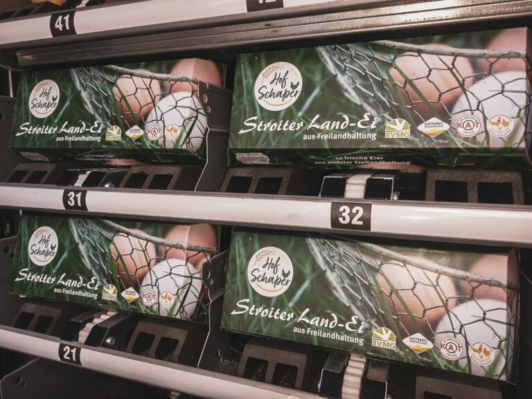 IMG 20220930 WA0021 768x576