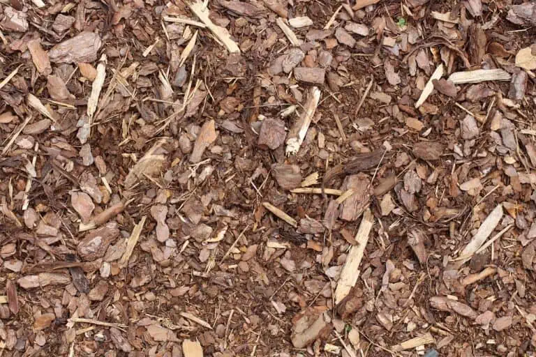 bark mulch 4296701 1280 768x512