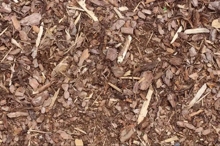 holz 768x513