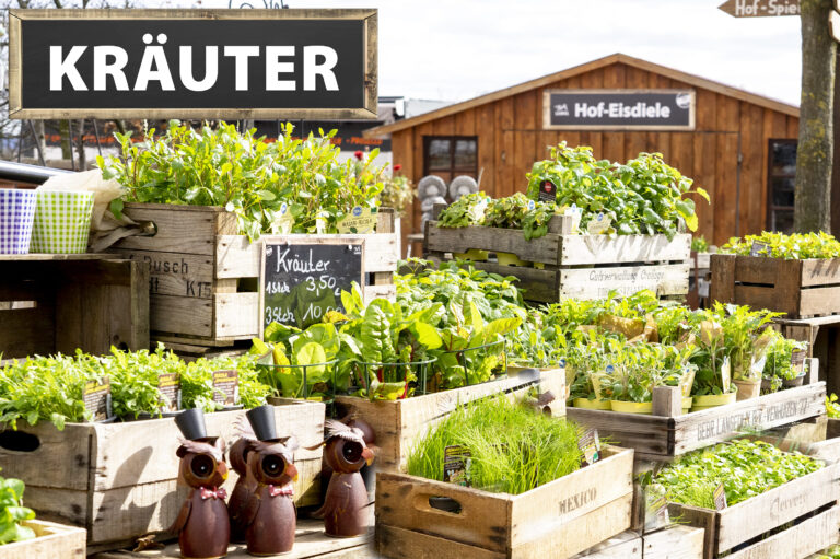 Kraeuter mit Schild DSC07325 cmyk 768x511