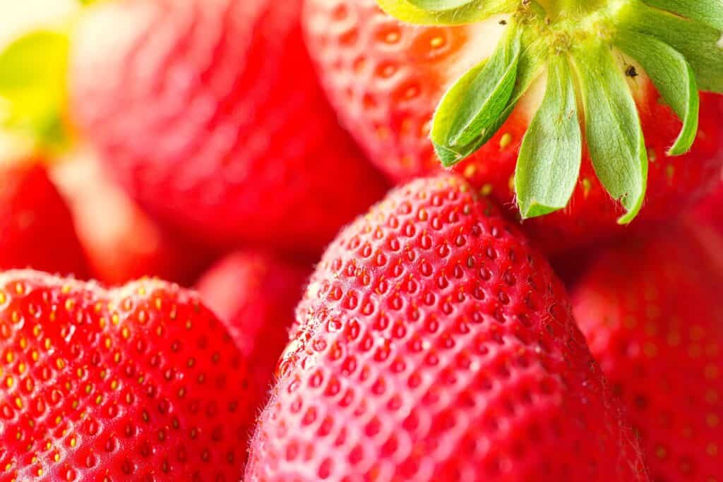 Erdbeeren