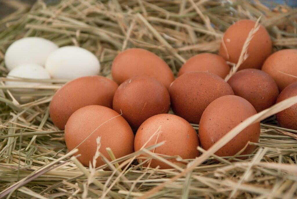 Eier im Stroh