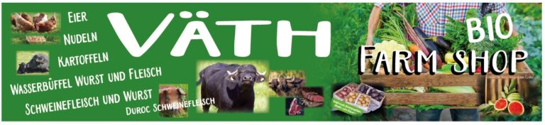 IMG 20250708 WA0020 768x176