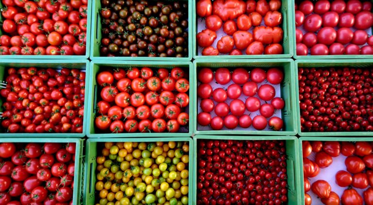 20221101 192842 min 768x423