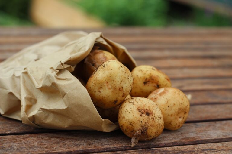 Kartoffeln 1 768x512