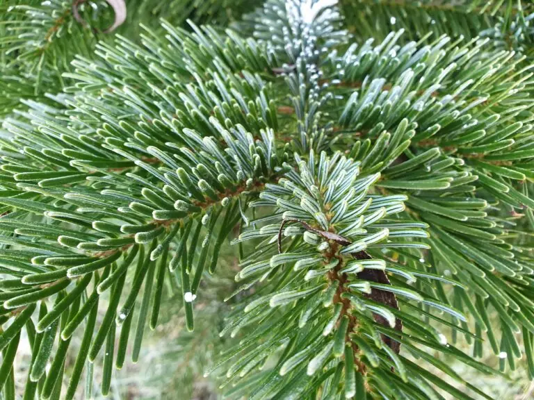 Musterbild