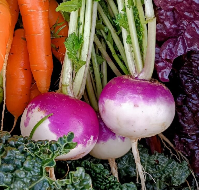 original 9a7c19d6 3ef7 4cad a1ad 5fe4580fb843 Screenshot 2024 12 07 18 05 36 894 com.google.android.apps .photos 768x734